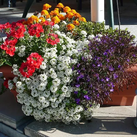 Апартаменты Amici-2 By Interhome