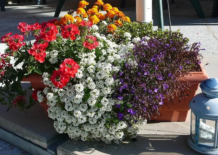 Апартаменты Amici-2 By Interhome