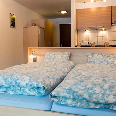 Διαμέρισμα Amici-2 By Interhome Saas-Grund